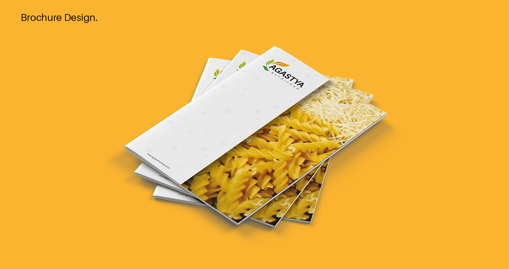 Agastya Nutrifood brochure design