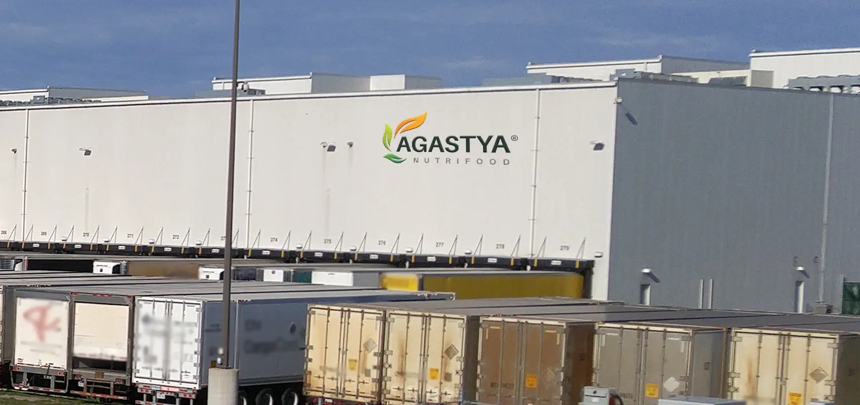 Agastya Nutrifood Factory logo design